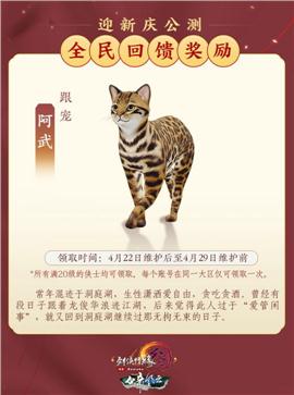 除天龙八部私服